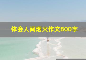 体会人间烟火作文800字