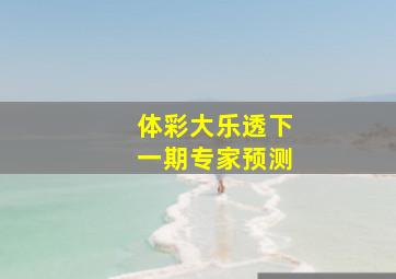 体彩大乐透下一期专家预测