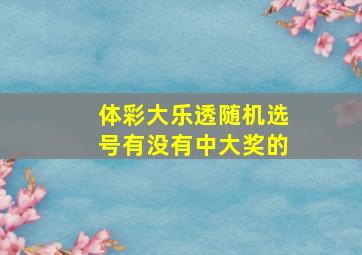 体彩大乐透随机选号有没有中大奖的