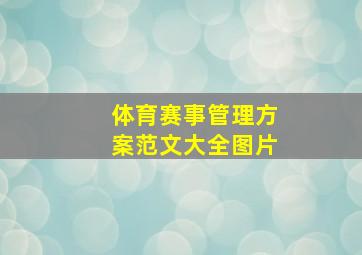 体育赛事管理方案范文大全图片