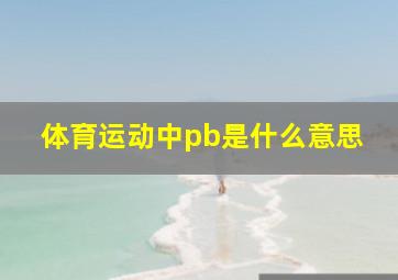 体育运动中pb是什么意思