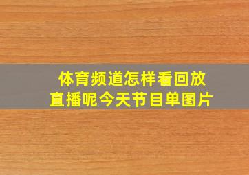 体育频道怎样看回放直播呢今天节目单图片