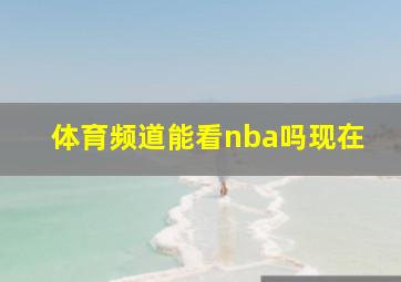 体育频道能看nba吗现在