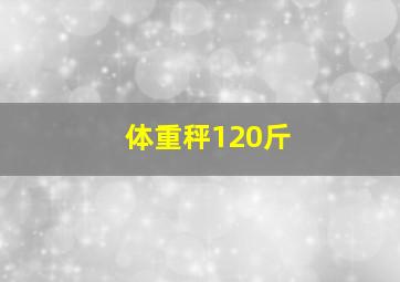 体重秤120斤