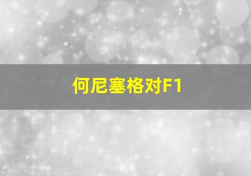 何尼塞格对F1