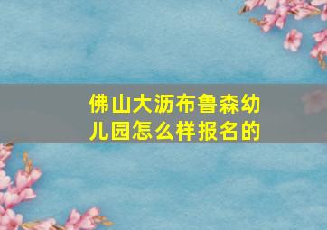 佛山大沥布鲁森幼儿园怎么样报名的