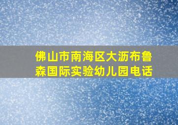 佛山市南海区大沥布鲁森国际实验幼儿园电话