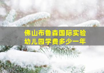 佛山布鲁森国际实验幼儿园学费多少一年