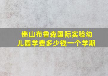 佛山布鲁森国际实验幼儿园学费多少钱一个学期