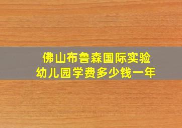 佛山布鲁森国际实验幼儿园学费多少钱一年