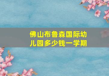 佛山布鲁森国际幼儿园多少钱一学期