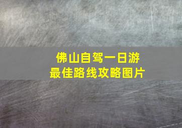 佛山自驾一日游最佳路线攻略图片