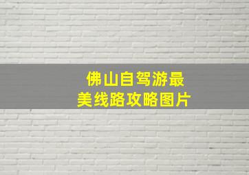 佛山自驾游最美线路攻略图片