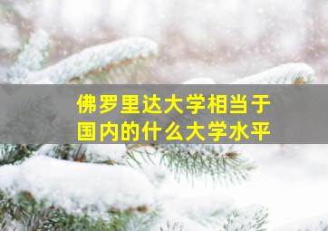 佛罗里达大学相当于国内的什么大学水平