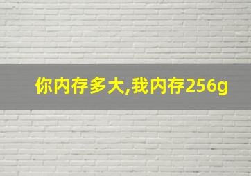 你内存多大,我内存256g