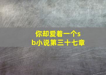 你却爱着一个sb小说第三十七章