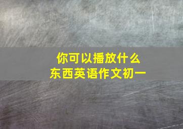 你可以播放什么东西英语作文初一