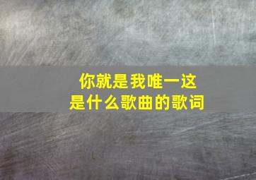 你就是我唯一这是什么歌曲的歌词