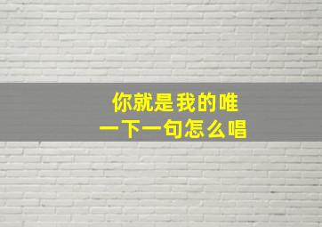 你就是我的唯一下一句怎么唱