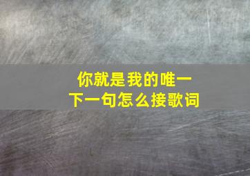 你就是我的唯一下一句怎么接歌词