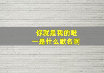 你就是我的唯一是什么歌名啊