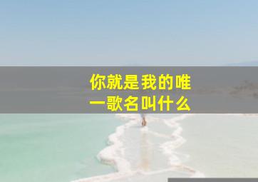 你就是我的唯一歌名叫什么