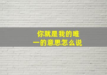 你就是我的唯一的意思怎么说