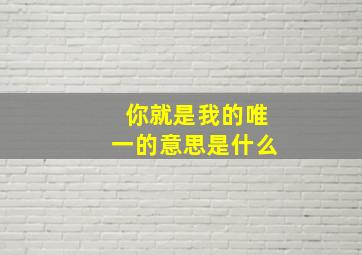 你就是我的唯一的意思是什么