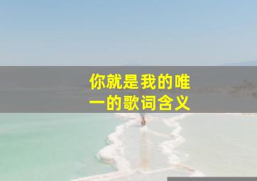 你就是我的唯一的歌词含义