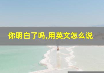 你明白了吗,用英文怎么说