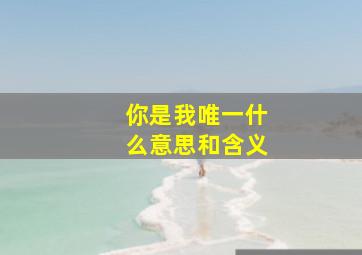 你是我唯一什么意思和含义