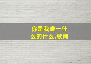 你是我唯一什么的什么,歌词