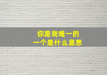 你是我唯一的一个是什么意思