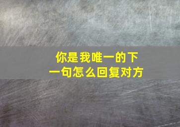 你是我唯一的下一句怎么回复对方