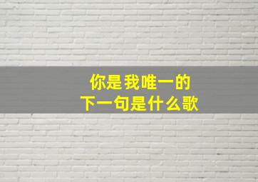 你是我唯一的下一句是什么歌