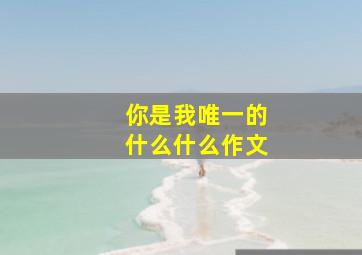 你是我唯一的什么什么作文