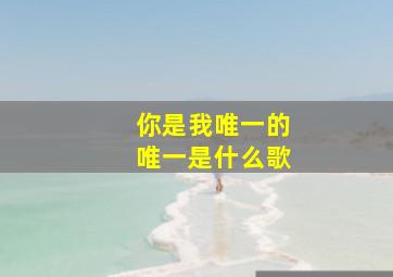 你是我唯一的唯一是什么歌