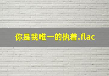 你是我唯一的执着.flac