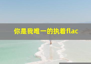 你是我唯一的执着flac