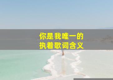 你是我唯一的执着歌词含义