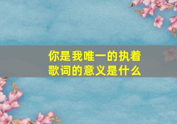 你是我唯一的执着歌词的意义是什么