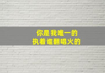 你是我唯一的执着谁翻唱火的