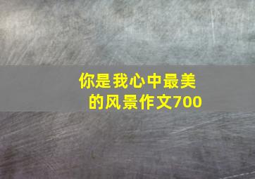 你是我心中最美的风景作文700