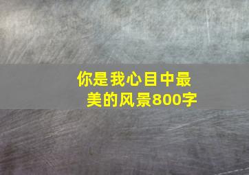 你是我心目中最美的风景800字