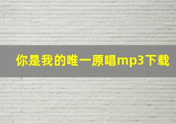 你是我的唯一原唱mp3下载