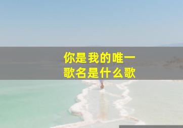 你是我的唯一歌名是什么歌