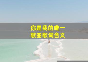 你是我的唯一歌曲歌词含义