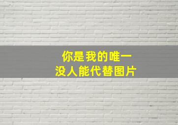 你是我的唯一没人能代替图片