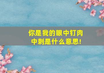 你是我的眼中钉肉中刺是什么意思!