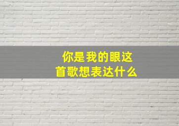 你是我的眼这首歌想表达什么